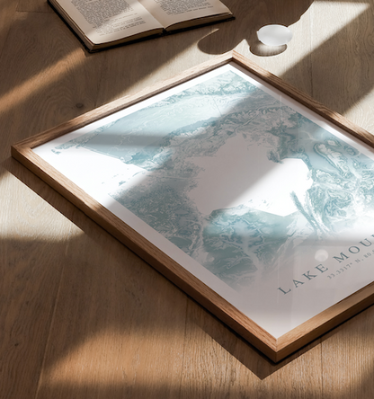 Lake Moultrie Map Print