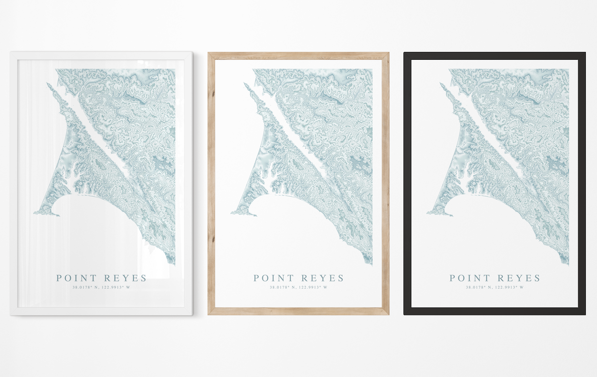 Point Reyes Map Print