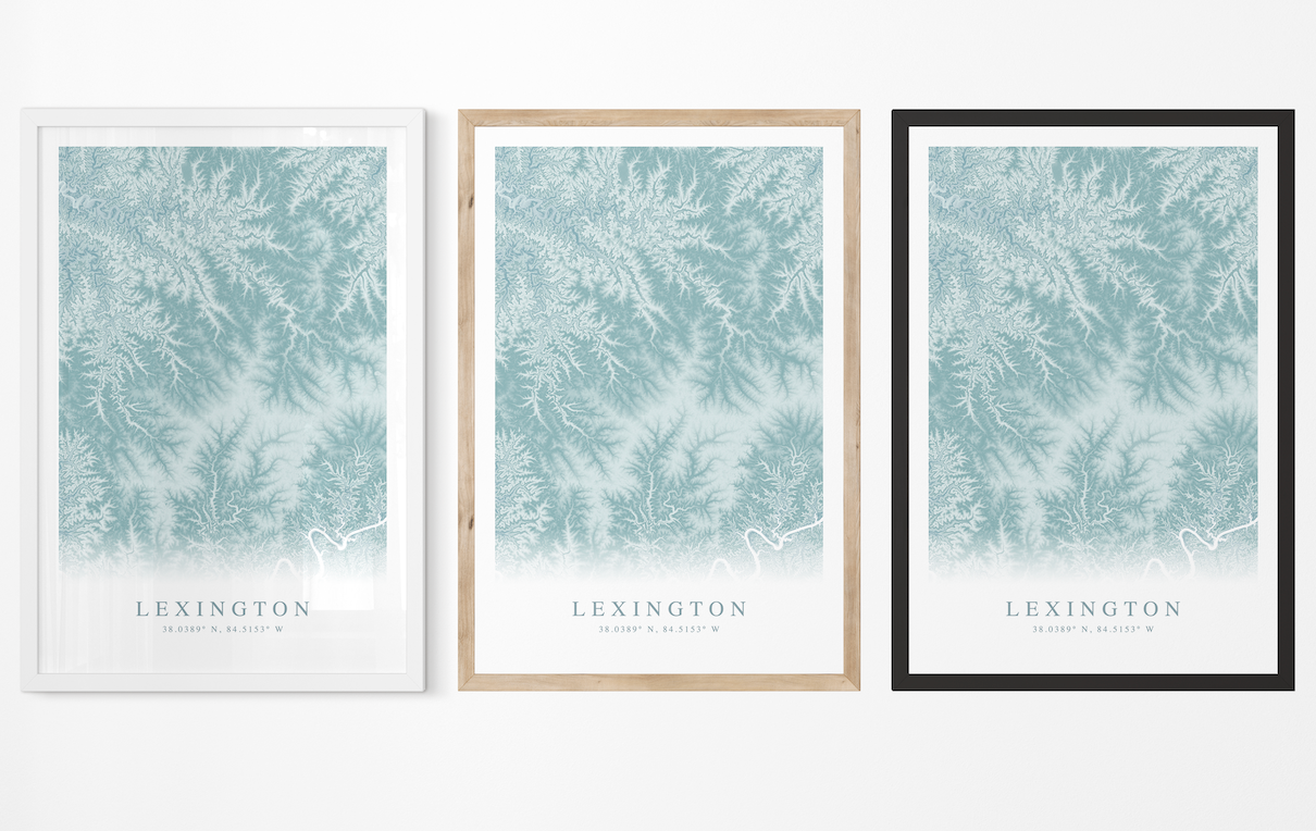 Lexington KY Map Print