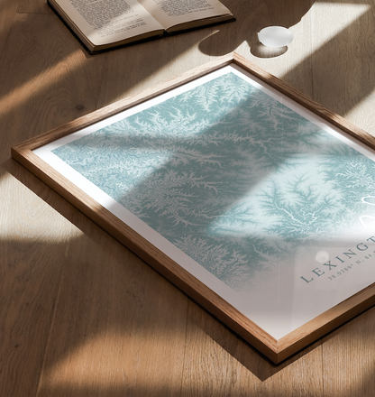 Lexington KY Map Print