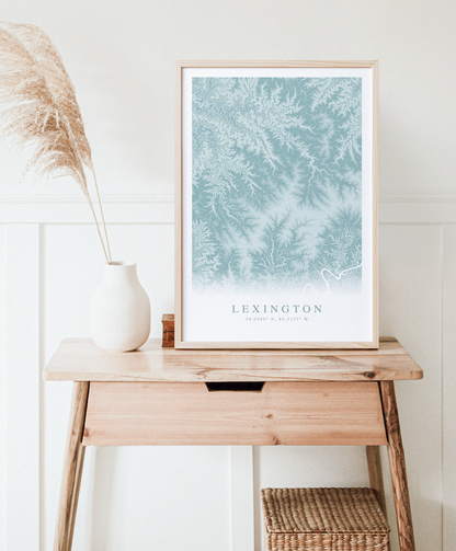 Lexington KY Map Print