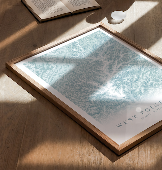 West Point Lake Map Print
