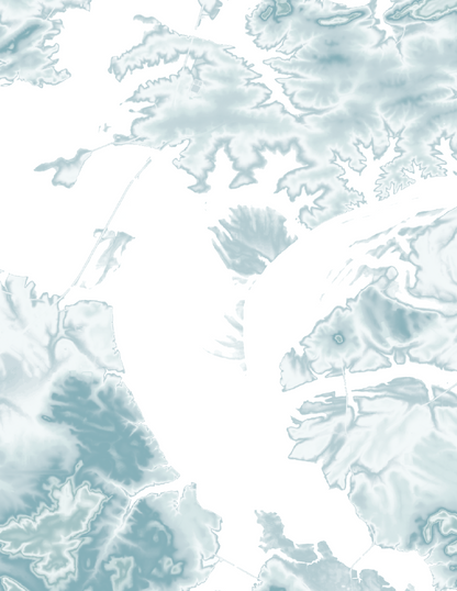 Weiss Lake Map Print