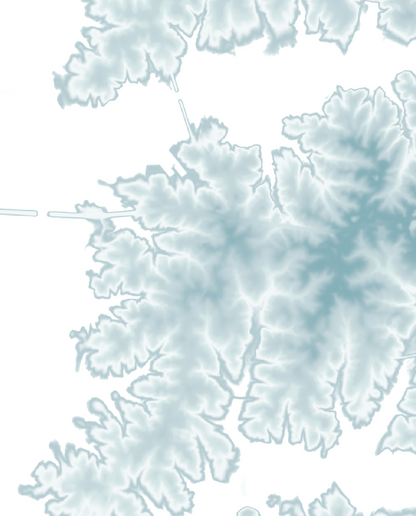 Jordan Lake Map Print