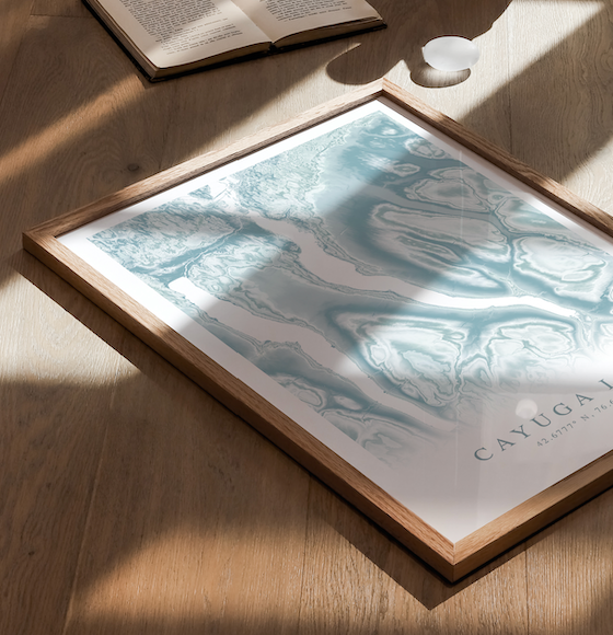 Cayuga Lake Map Print