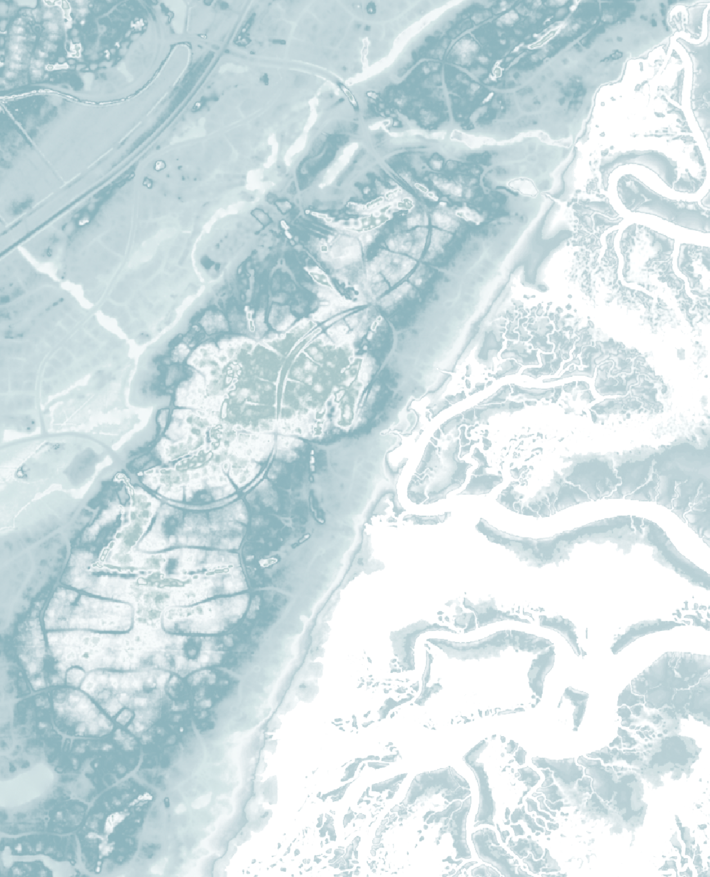 Skidaway Island Map Print