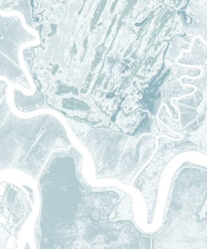 Darien GA Map Print