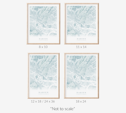 Darien GA Map Print