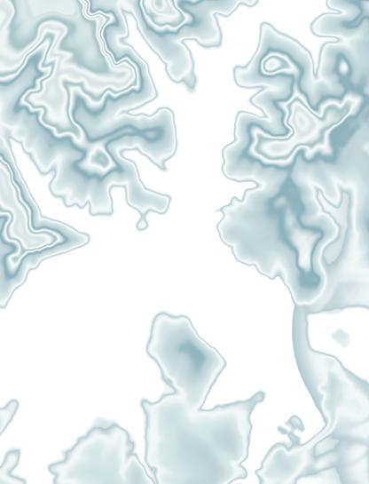 Tega Cay Map Print