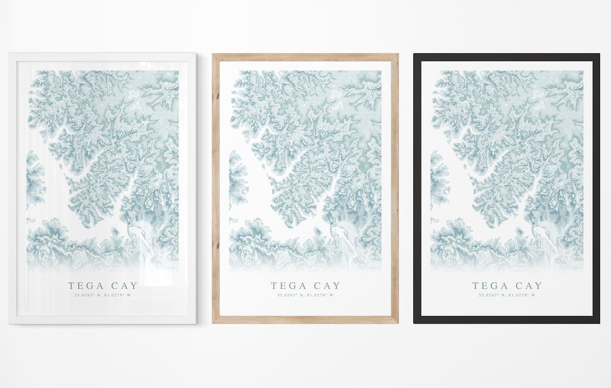 Tega Cay Map Print