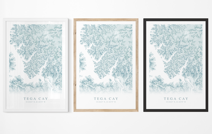 Tega Cay Map Print