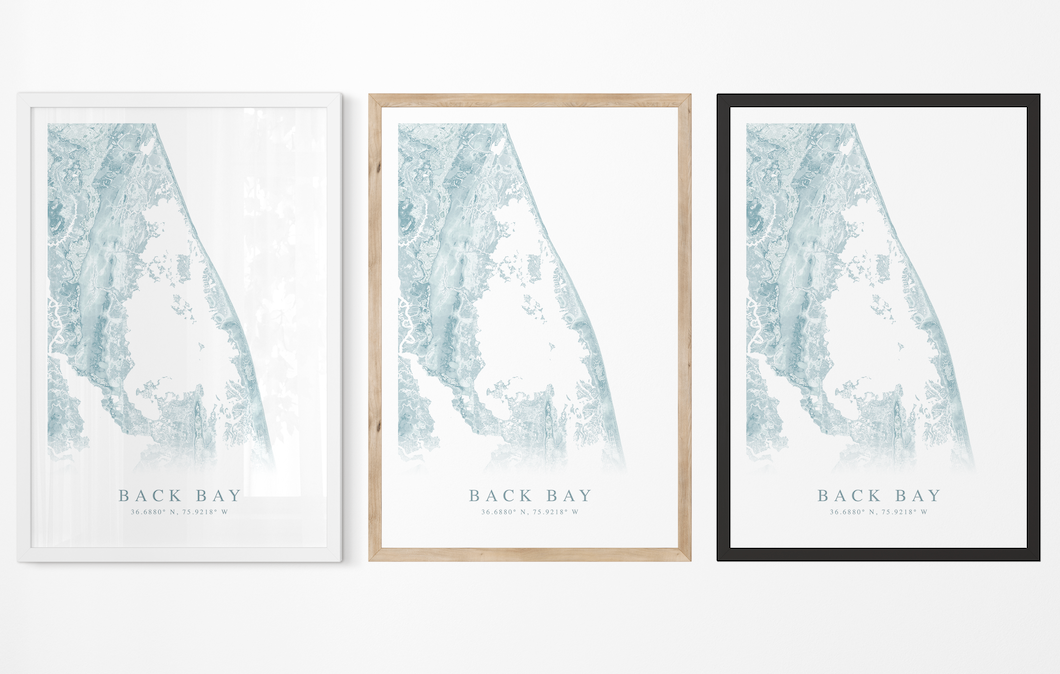 Back Bay VA Map Print