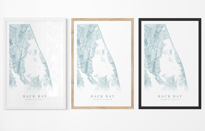Back Bay VA Map Print