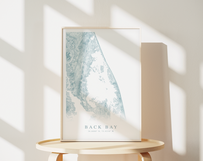Back Bay VA Map Print