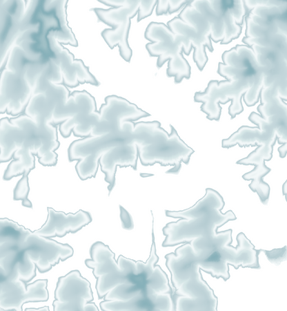 Philpott Lake Map Print