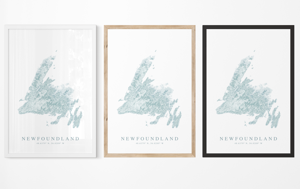 Newfoundland Map Print