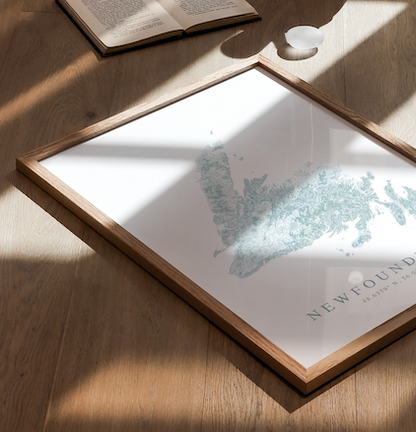 Newfoundland Map Print