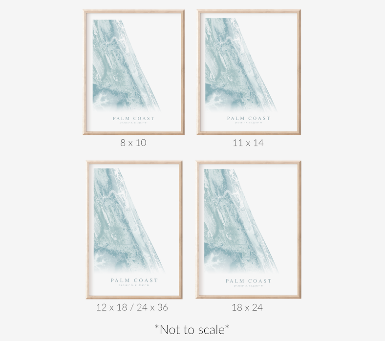 Palm Coast Map Print