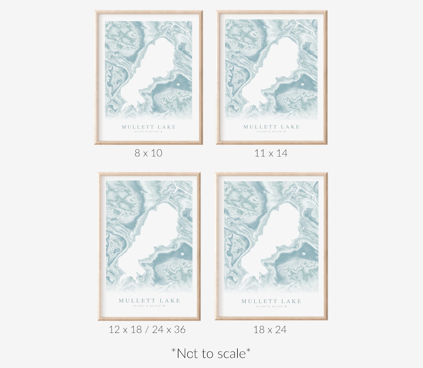 Mullett Lake Map Print