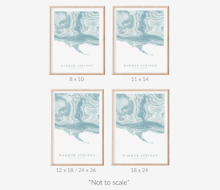 Harbor Springs MI Map Print