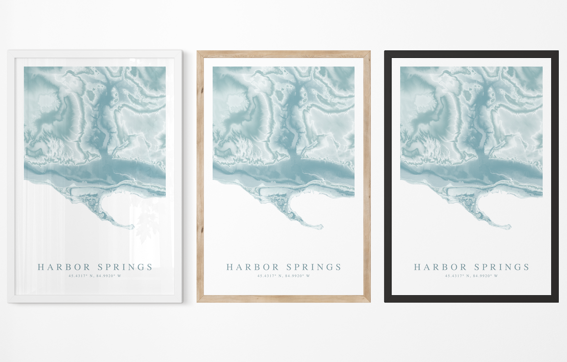 Harbor Springs MI Map Print