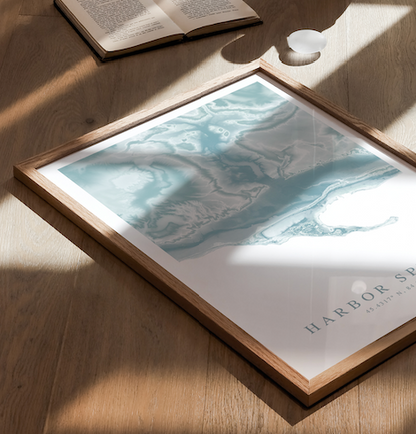 Harbor Springs MI Map Print