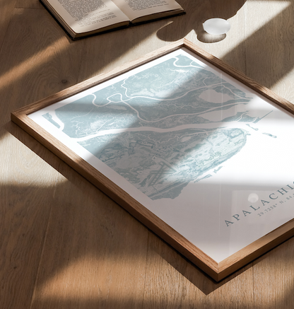 Apalachicola Map Print