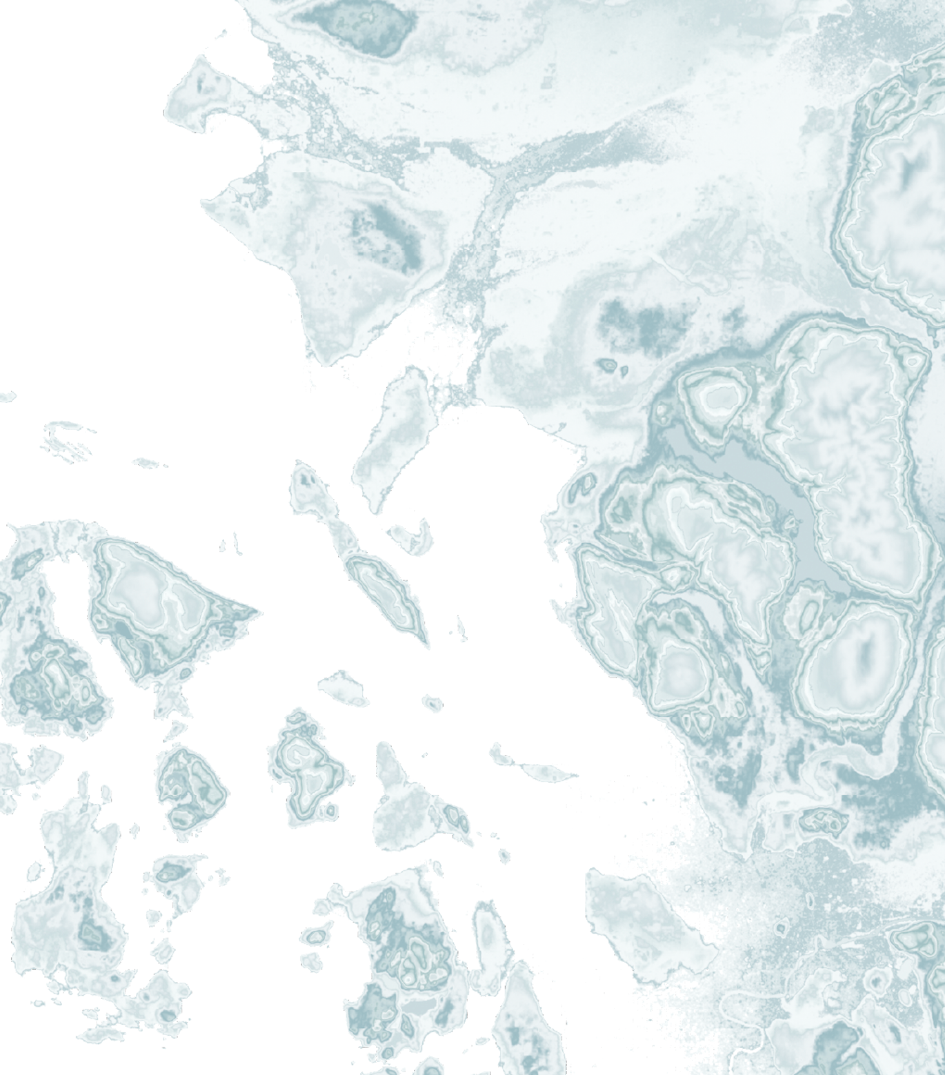 Salish Sea Map Print