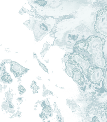 Salish Sea Map Print