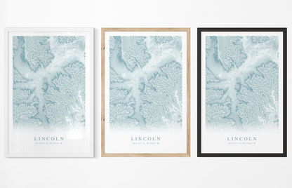 Lincoln NE Map Print