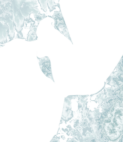 Peconic Bay Map Print