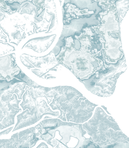 Port Royal SC Map Print