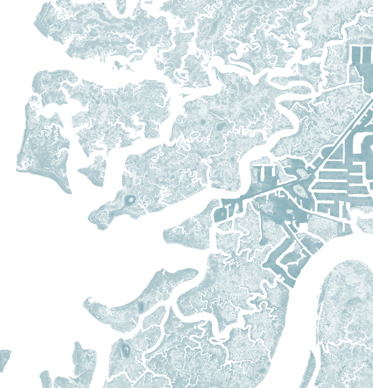 Suwannee Map Print