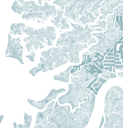 Suwannee Map Print