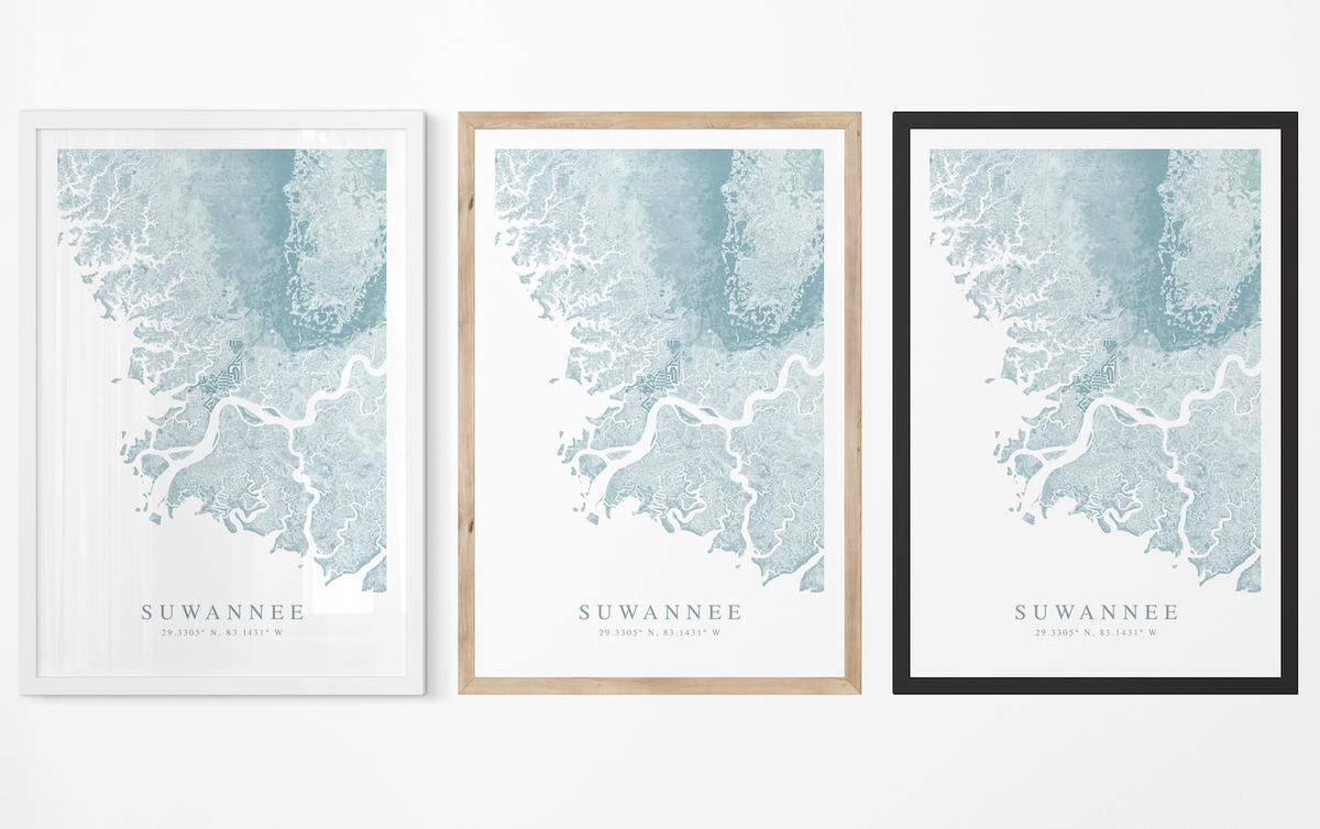 Suwannee Map Print