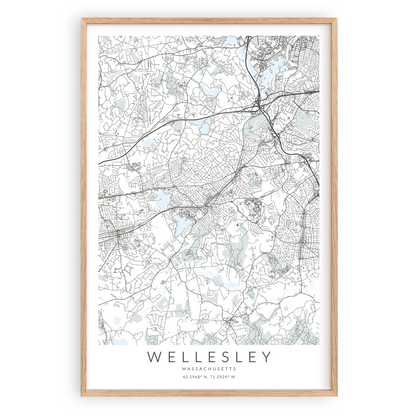 wellesley massachusetts map print