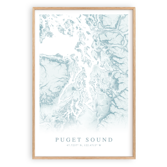 puget sound washington map poster