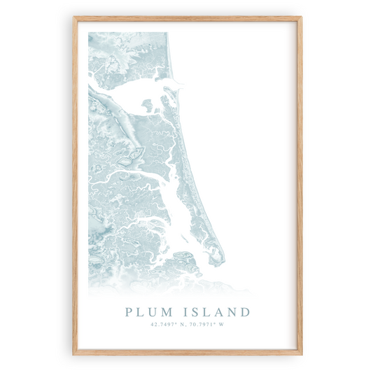 plum island map print