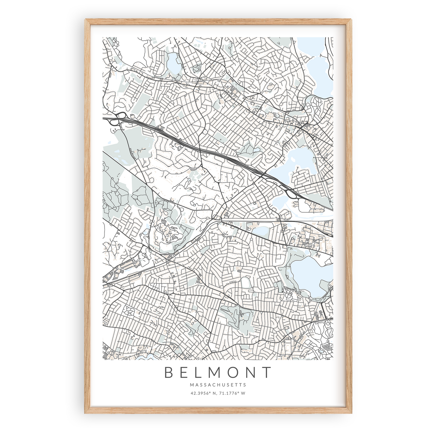 Belmont Massachusetts Map Print