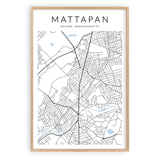 Mattapan Map Print