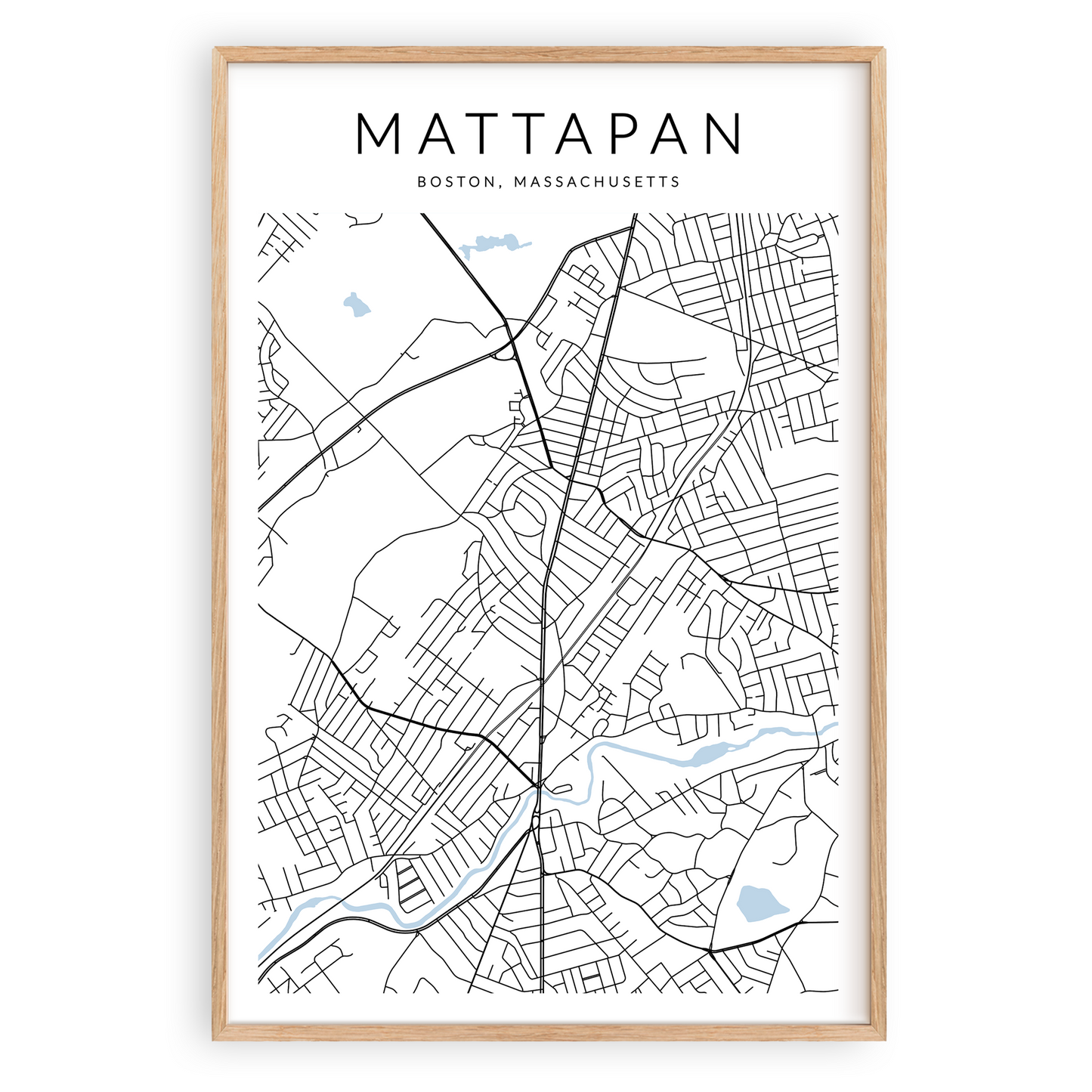 Mattapan Map Print