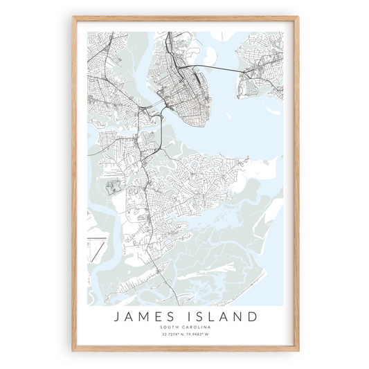 james island south carolina map print