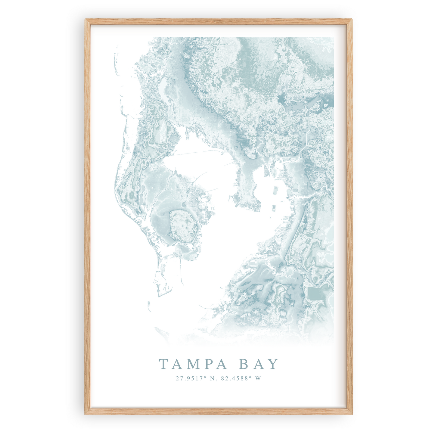 Tampa Bay Map Print