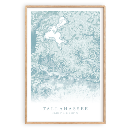 Tallahassee florida map print in wood frame