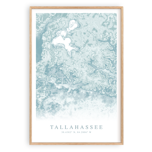 Tallahassee florida map print in wood frame