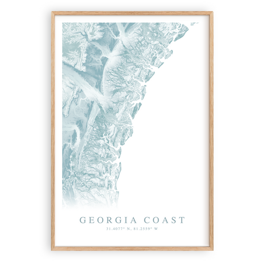 georgia coast map print