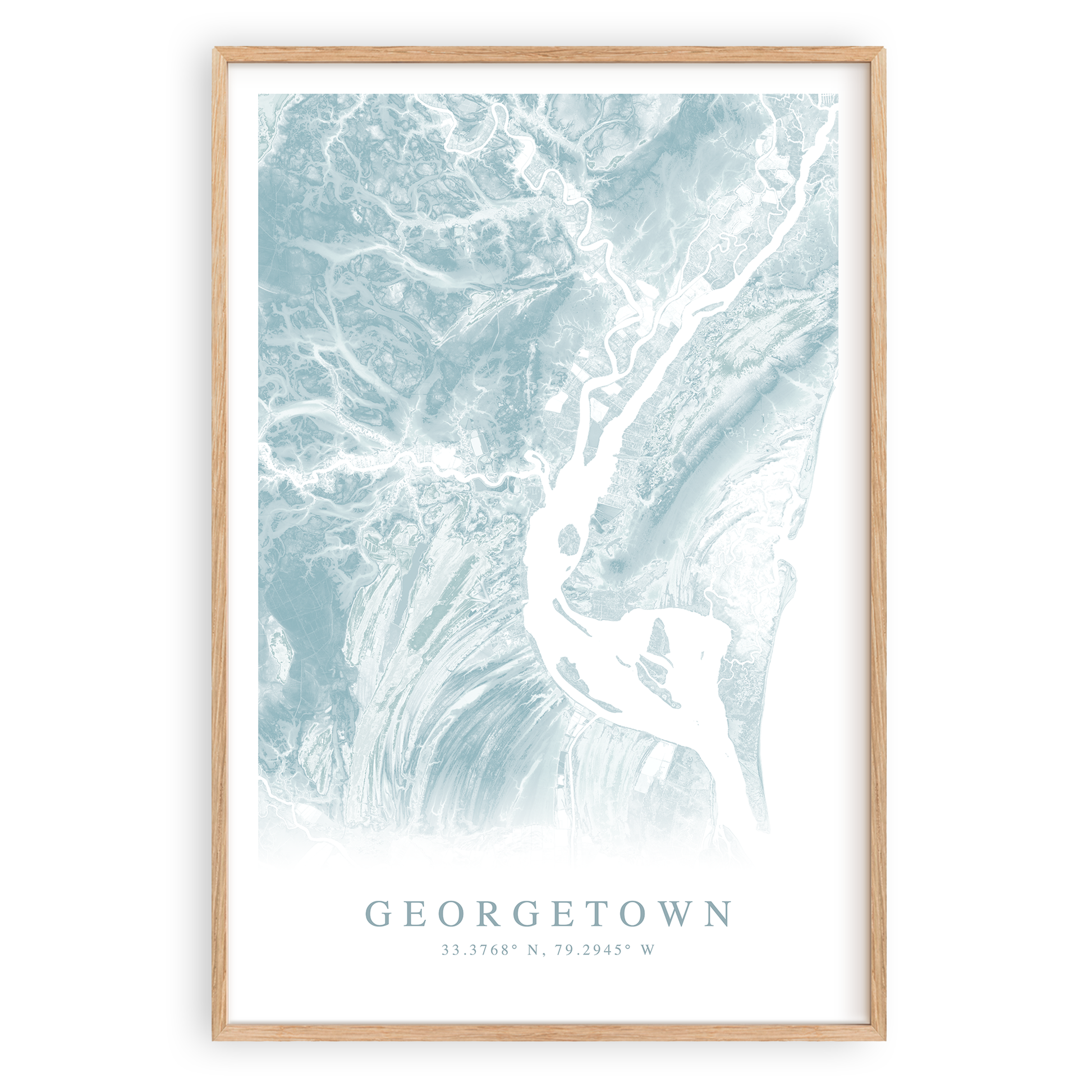 georgetown south carolina map print