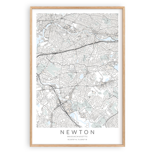 Newton Map Print