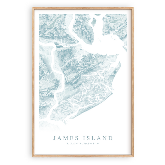 james island south carolina map print