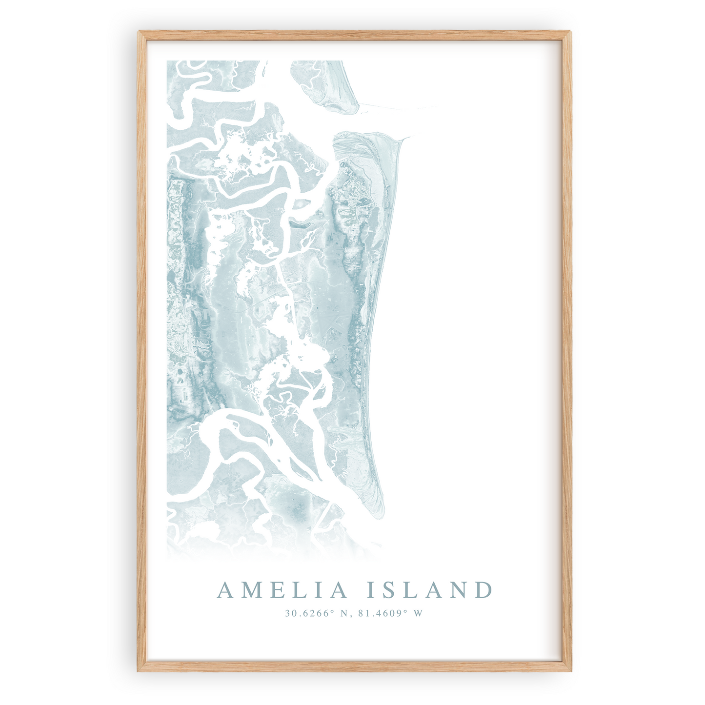 amelia island florida map